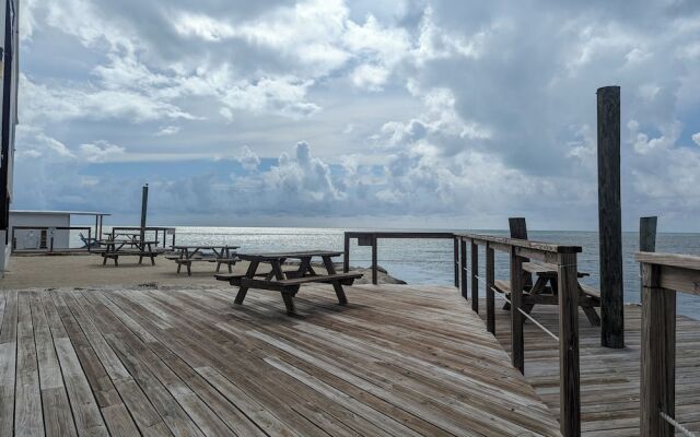 Bud N' Mary's Fishing Marina