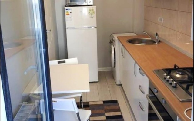Studio in Roșu, with Balcony And Wifi