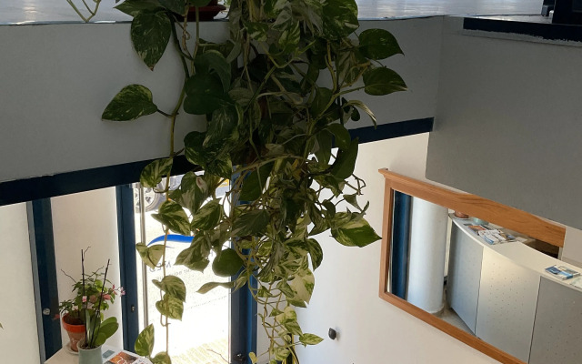 Alojamiento Med The Blue Med.