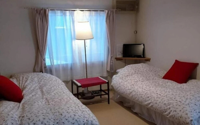 Pension Snowfall Meteor