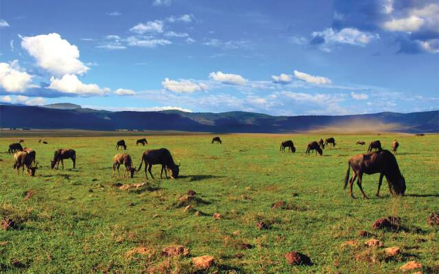 Kilemakyaro Mountain Lodge