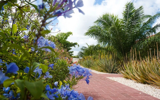 Abc Lodges Curacao