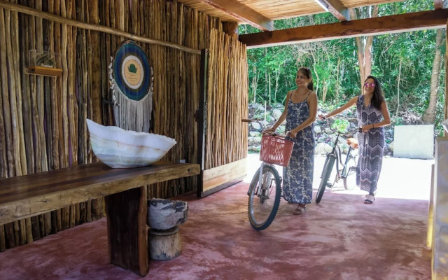 Jungla y Estrellas K AAX EK