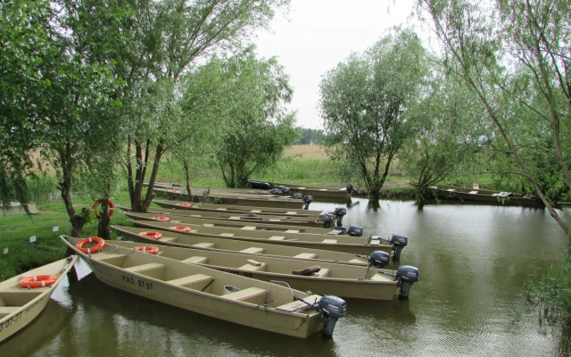 Золотой Лотос