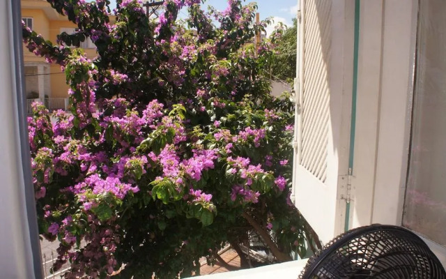 Share Guest Hostel