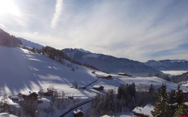 Chalet Marion - Aravis Holidays