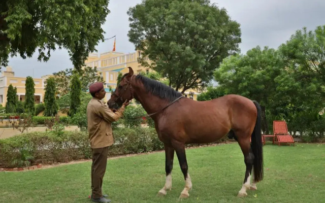 Roop Niwas Kothi, Near Mandawa