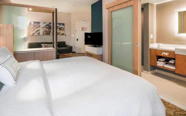 SpringHill Suites by Marriott Fishkill