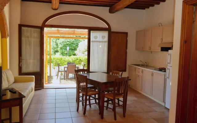 Resort with pool in Riparbella