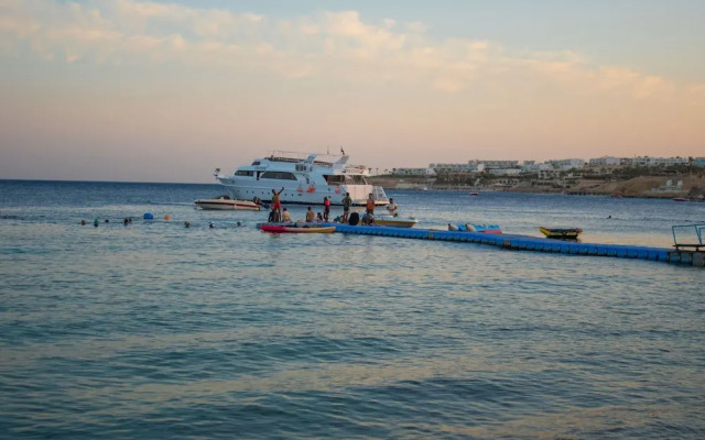 Sharks Bay Hotel & Padi Butterfly