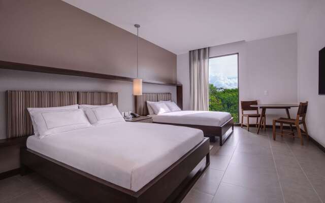 Botanika Osa Peninsula, Curio Collection by Hilton