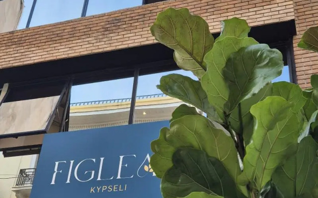 Figleaf Kypseli