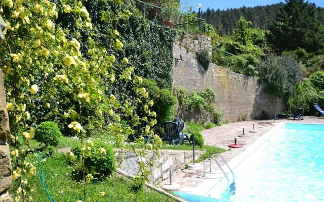 Cosy apartment in the well known Chianti area, with swimming pool and terrace.