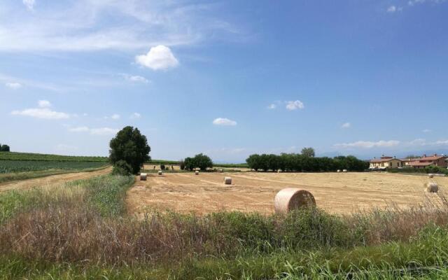 La Casetta, appartamento nel verde a Sommacampagna