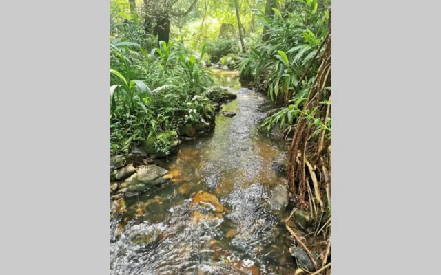 Nature Lovers Paradise