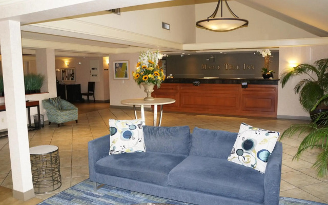 Maple Tree Inn