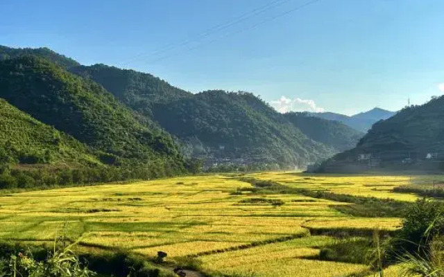 Yuejingyun Lake View Hostel