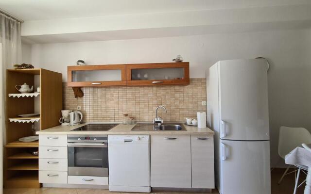 Apartments Srzic NO1