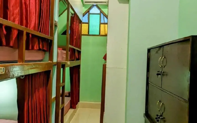 Sleepy Raccoon Hostel