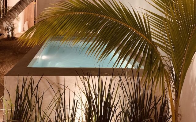 Apartments & Suites MADRE Holbox Self-Check IN