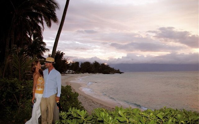 Maui Beachcomber