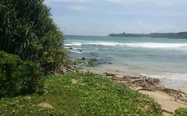 Palm Hill Guest House