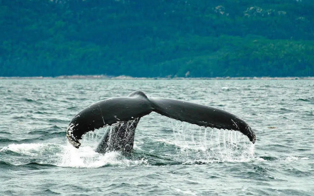 Hôtel-Motel Baie-Ste-Catherine