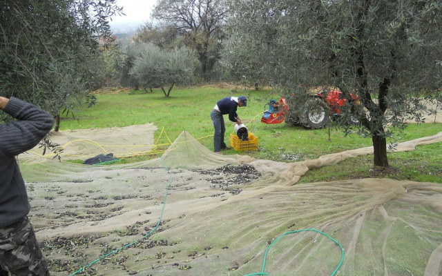 Collina Toscana Resort