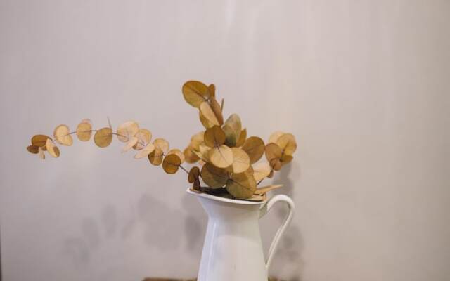 One&Lux Byron Suites