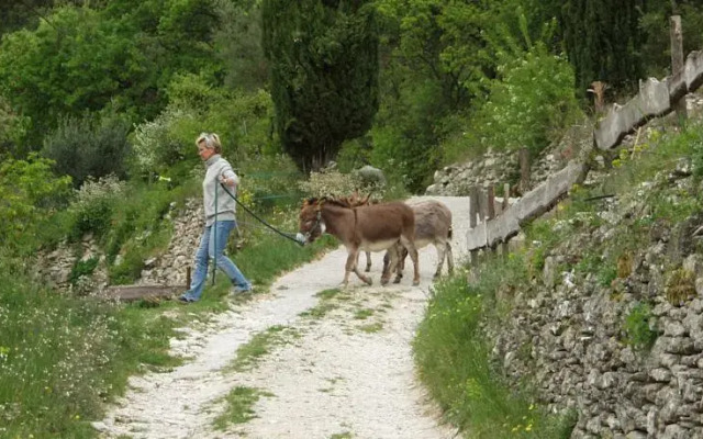 B&B Leon en Provence
