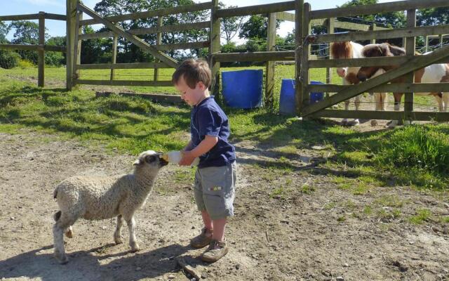 Manor Near Mont St. Michel and Contentin Beaches