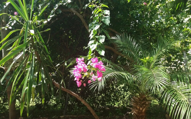 Condo Del Cielo