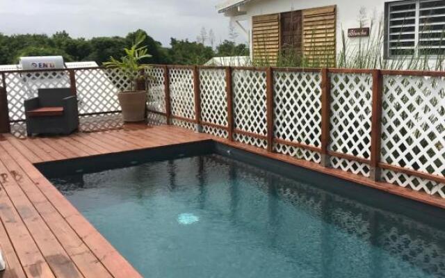 LES ALOÈS By CREYOL ANIMAL