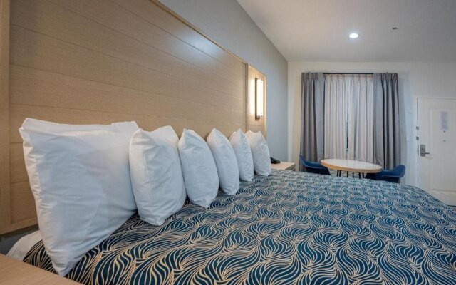 Palace Inn Blue IAH East