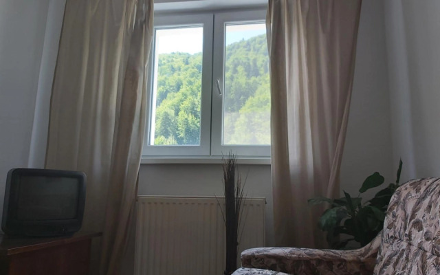 Apartment Valea Azugii