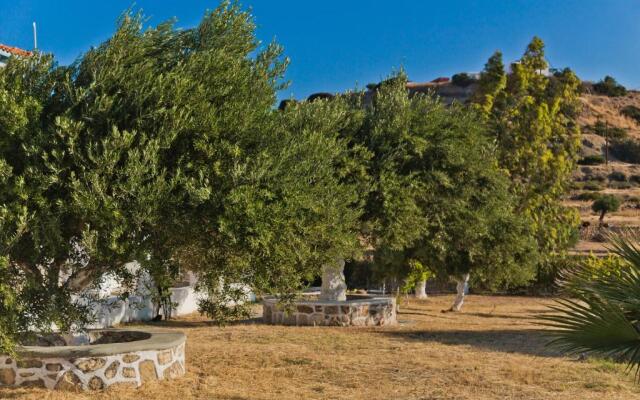 Olive Studios Karpathos Studio #2