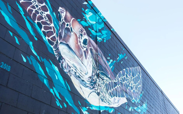 Apartment 1 Attunga Heights 4