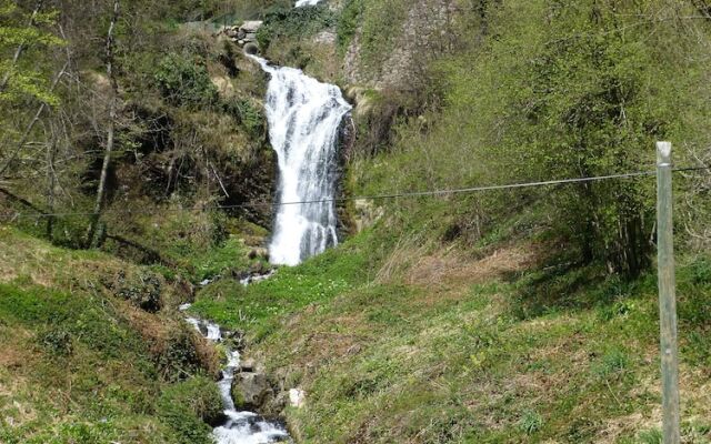 The Dreaming Tree B&B