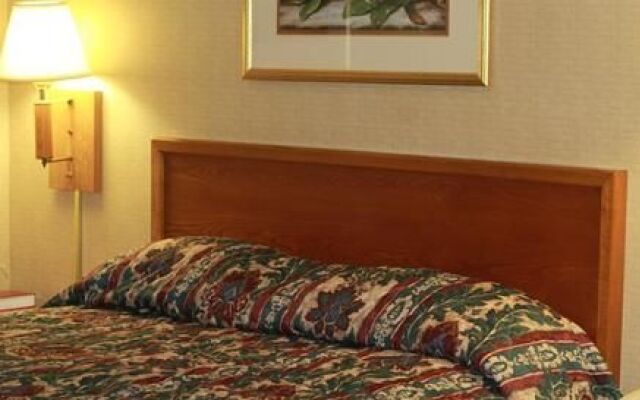 Palmetto Inn Florence