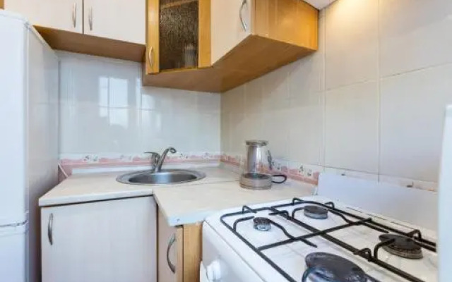 Apartments on Pechersk