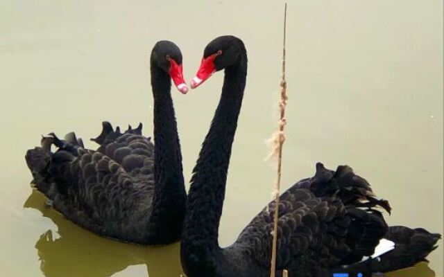 MaoShan Hentique Resort