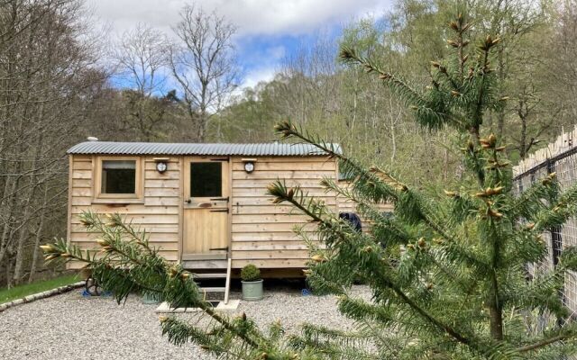 Highland Bear Lodge & Luxury Bear Huts