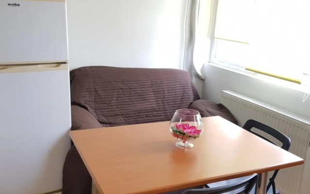 Avrig-Ferdinand Studio