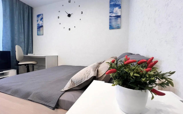 Риконе на улице Геологоразведчиков