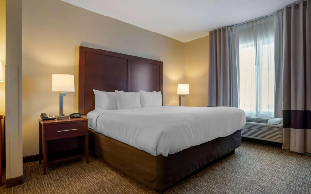 Comfort Suites Foley