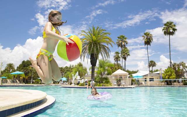 Saddlebrook Golf Resort & Spa Tampa North - Wesley Chapel