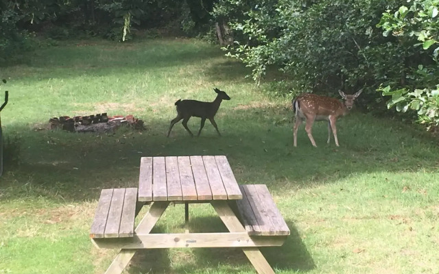 Vakantiehuis de Rommelpot