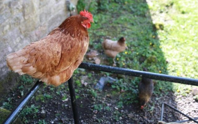 Chillingham Manor Luxury B&B