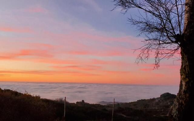 Beecaramulo-Apiturismo