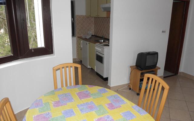 Apartment Mirja - 50 m from beach: A2 Petrcane, Zadar riviera